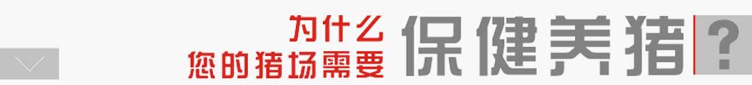 iʲôҪBi